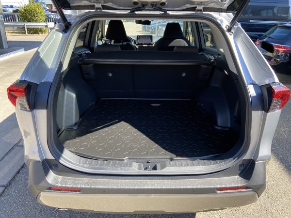 Toyota RAV 4 2.5 Hybrid 4x2 Team D – Bild 6