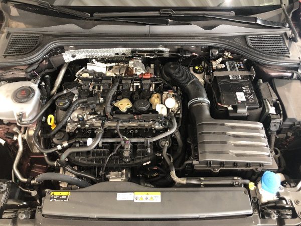 Volkswagen Golf GTI 2.0 TSI OPF DSG Clubsport – Bild 12